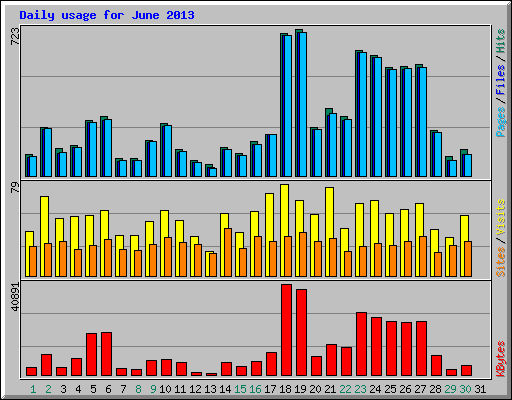 Daily usage for June 2013