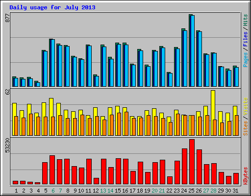 Daily usage for July 2013
