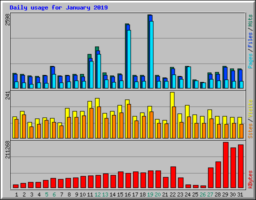Daily usage for January 2019