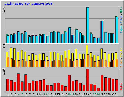 Daily usage for January 2020
