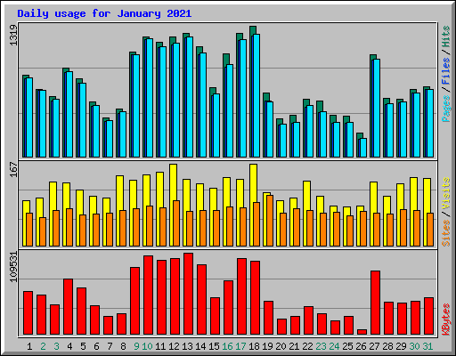 Daily usage for January 2021