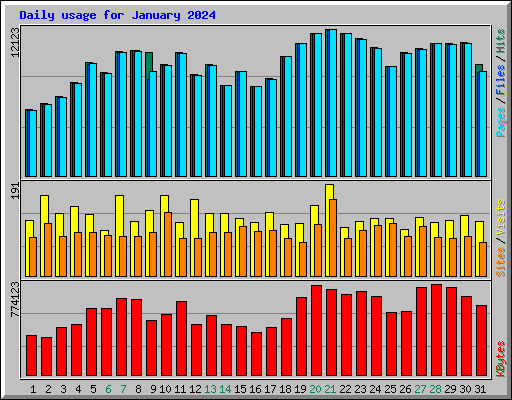 Daily usage for January 2024