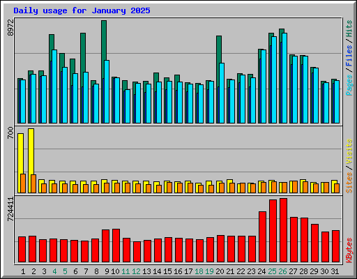 Daily usage for January 2025