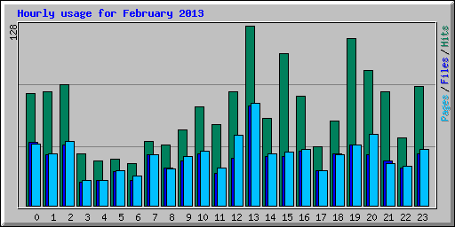 Hourly usage for February 2013