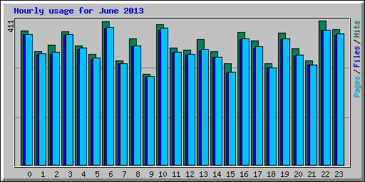 Hourly usage for June 2013
