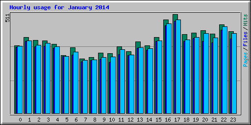 Hourly usage for January 2014