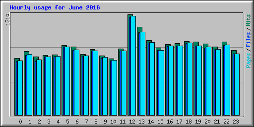 Hourly usage for June 2016