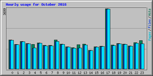 Hourly usage for October 2016