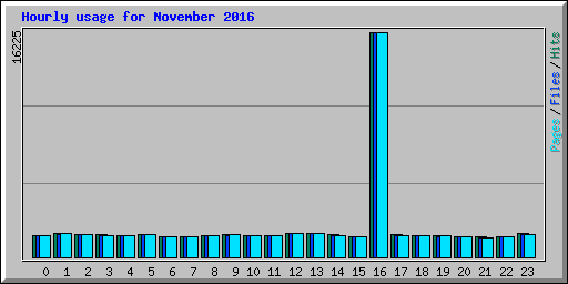 Hourly usage for November 2016