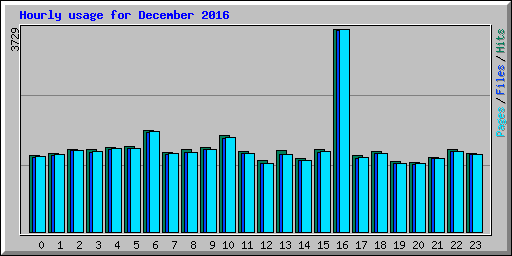 Hourly usage for December 2016