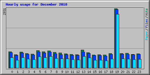 Hourly usage for December 2018
