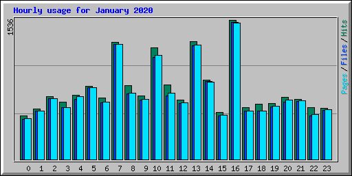 Hourly usage for January 2020