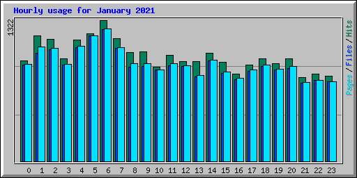 Hourly usage for January 2021