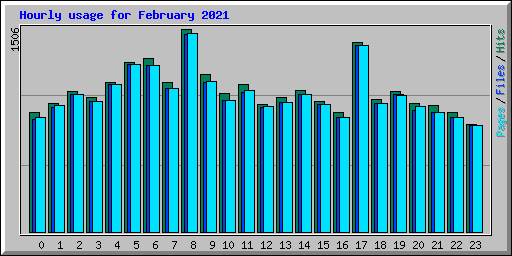 Hourly usage for February 2021