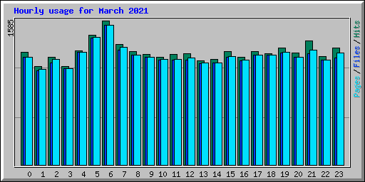 Hourly usage for March 2021