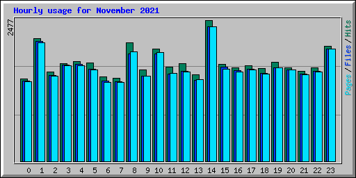 Hourly usage for November 2021