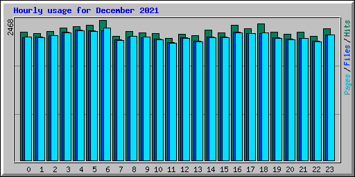 Hourly usage for December 2021