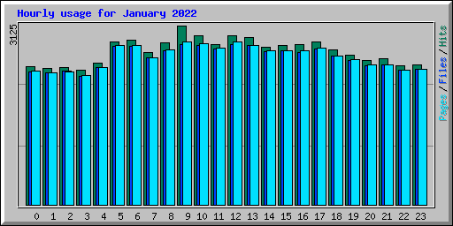 Hourly usage for January 2022