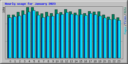 Hourly usage for January 2023
