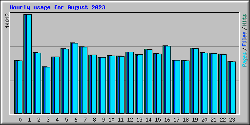 Hourly usage for August 2023