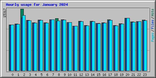 Hourly usage for January 2024