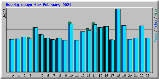 Hourly usage for February 2024