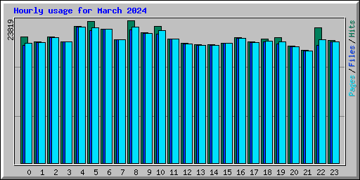 Hourly usage for March 2024