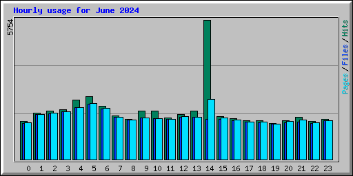 Hourly usage for June 2024