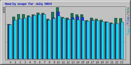 Hourly usage for July 2024