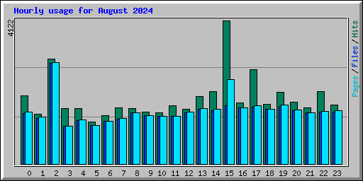 Hourly usage for August 2024