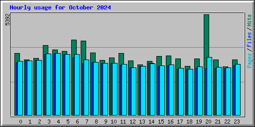 Hourly usage for October 2024