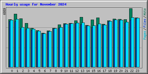 Hourly usage for November 2024