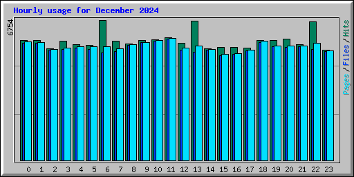 Hourly usage for December 2024