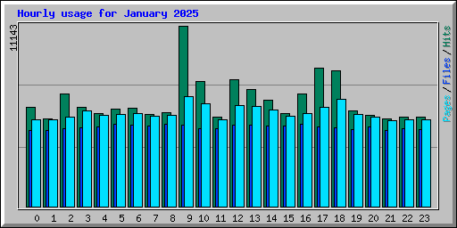 Hourly usage for January 2025