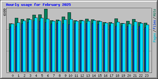 Hourly usage for February 2025