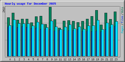 Hourly usage for December 2025